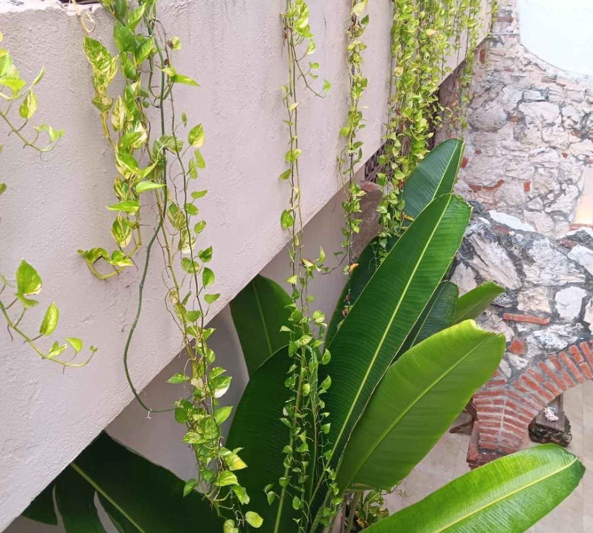 Apartment En Getsemani Pod A