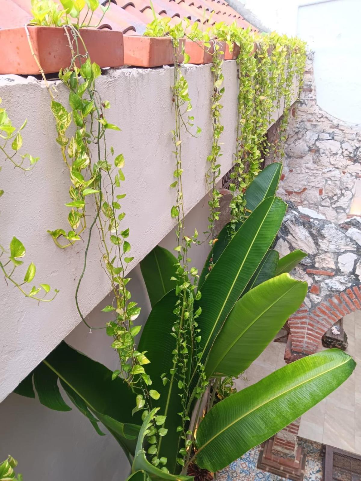 Apartamento Habitación En Getsemaní Pod A